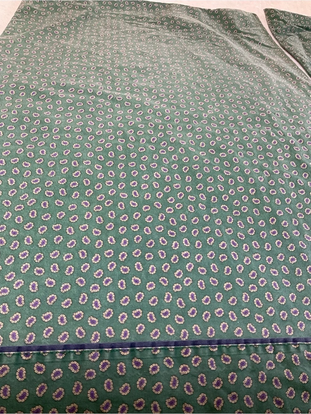 Polo by Ralph Lauren Green Printed Two Pillowcases